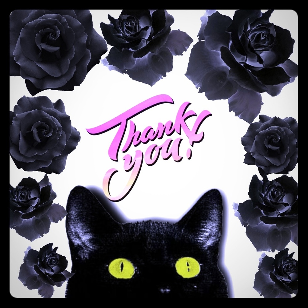 Thank you!!!!
